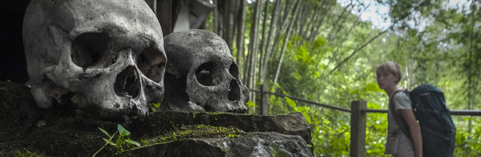 Traditional Tana Toraja houses, Sulawesi, Indonesia