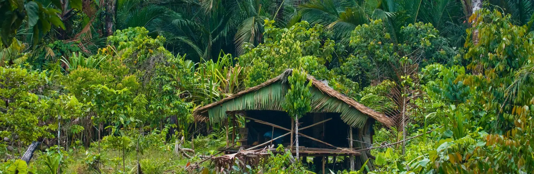 Read more about the article Mentawai Tribe Adventure