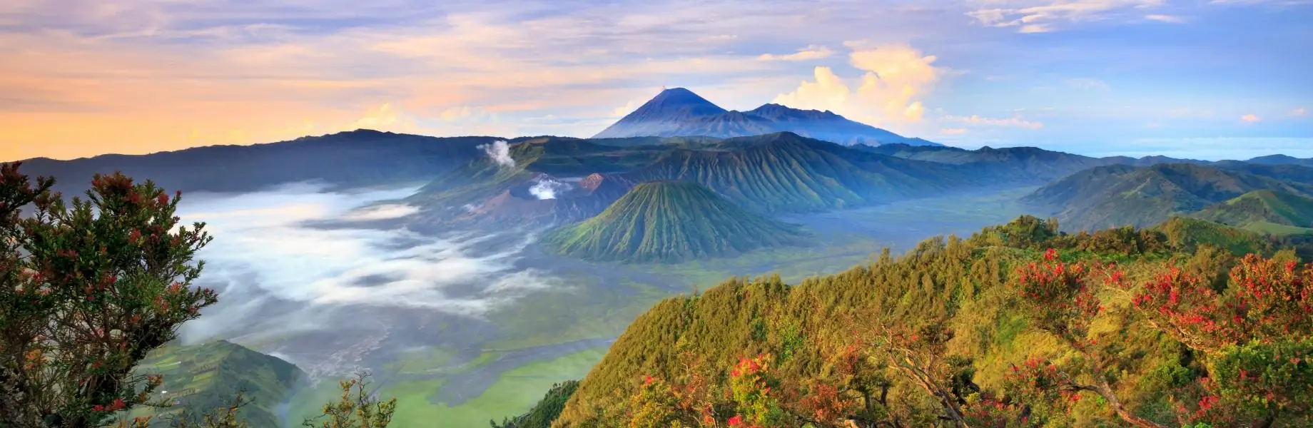 Read more about the article Venturing Java by Train