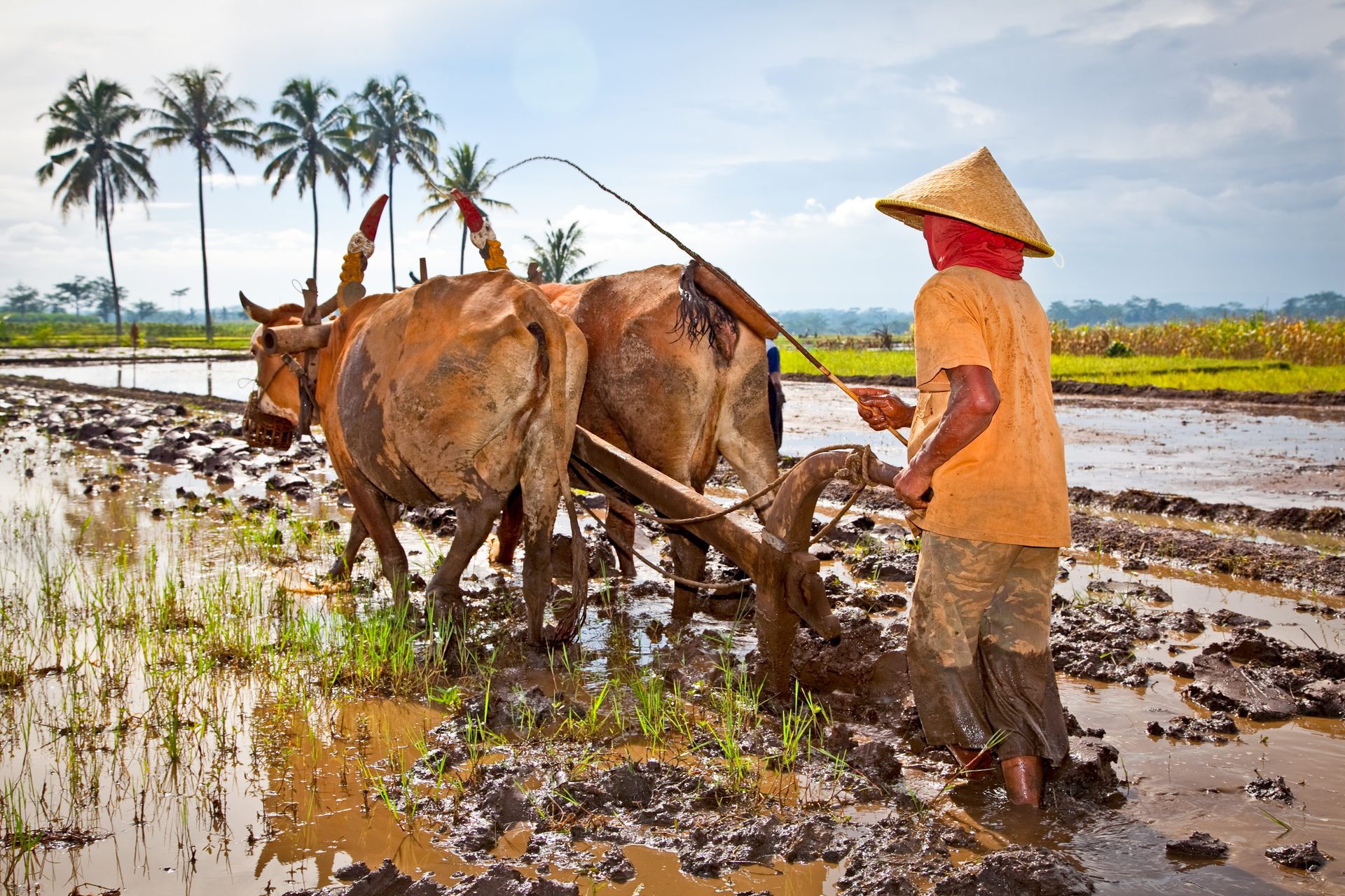 Read more about the article Central Java Historical Sites